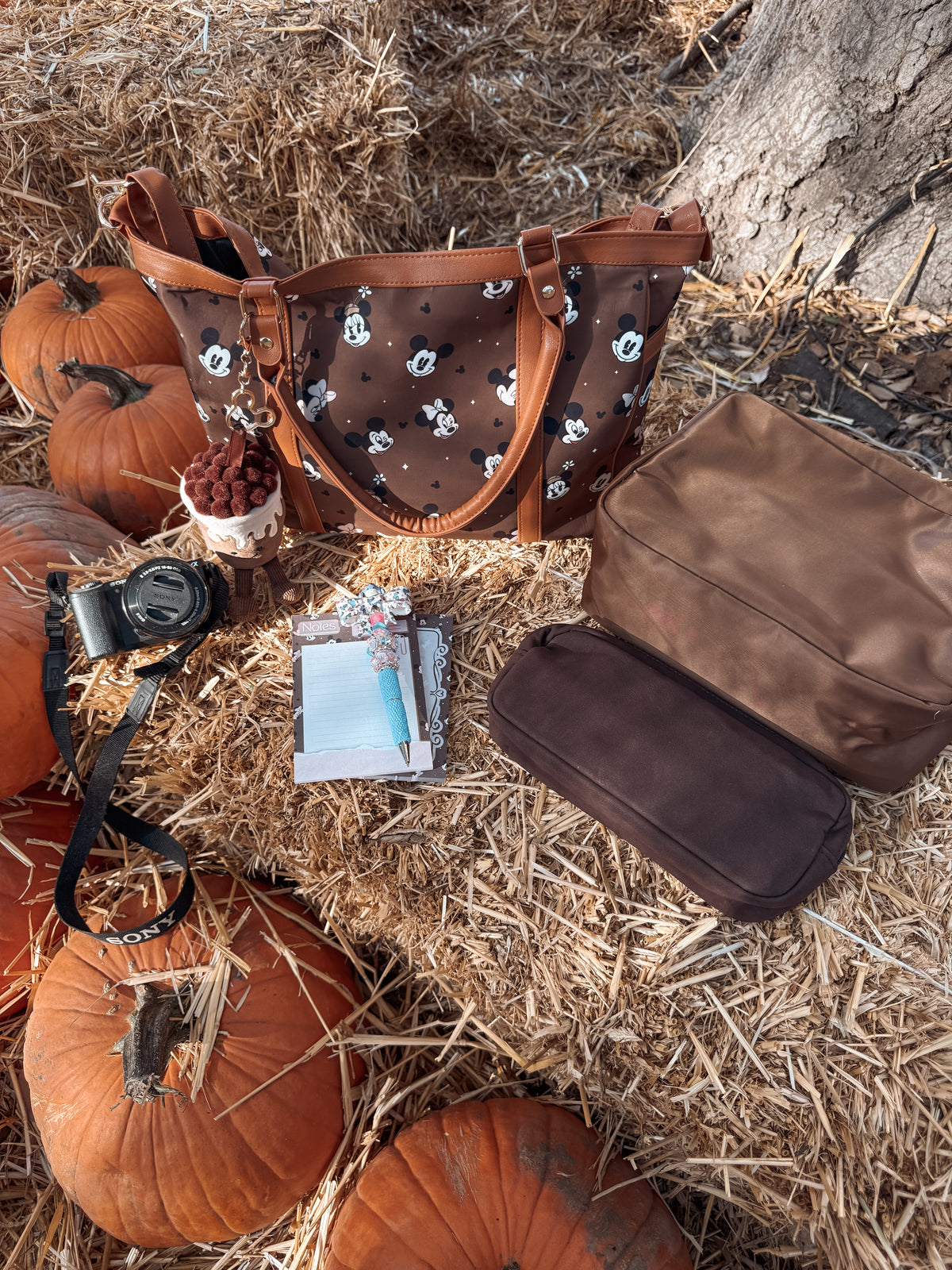 Brown Babe Bag