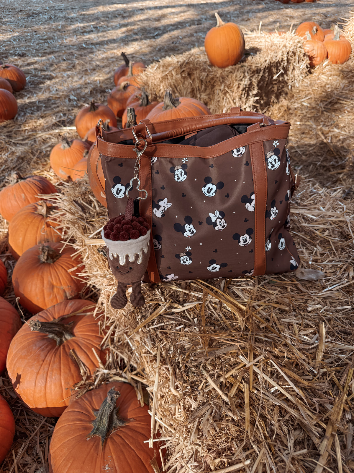 Brown Babe Bag