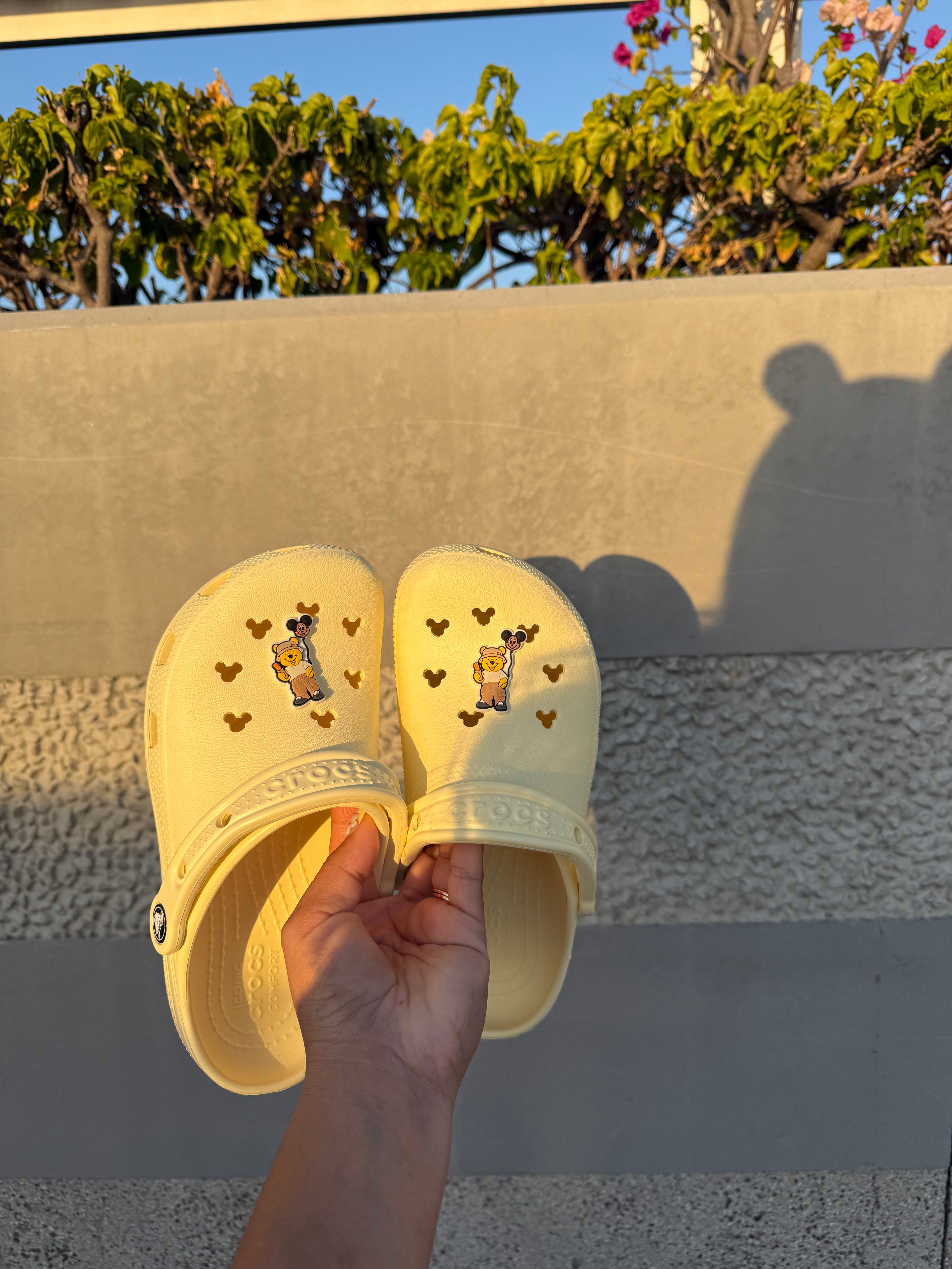 2 - Park Bear Croc Charm RTS
