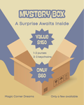 Mystery Box (NO RETURNS, NO EXCHANGES)